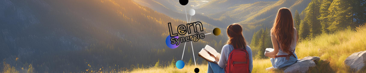 LernSynergie